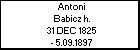 Antoni Babicz h.