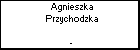 Agnieszka Przychodzka