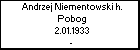 Andrzej Niementowski h. Pobog