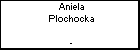 Aniela Plochocka