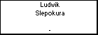 Ludwik Slepokura