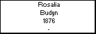 Rosalia Budyn
