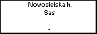 Nowosielska h. Sas