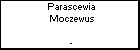 Parascewia Moczewus