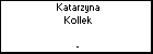 Katarzyna Kollek